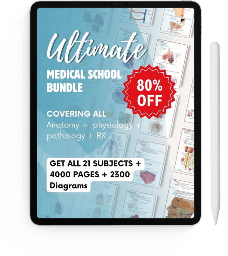 ALL 21 SUBJECTS (80% OFF BUNDLE)